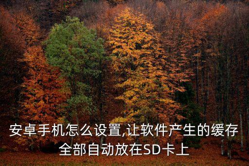安卓手機怎么設(shè)置,讓軟件產(chǎn)生的緩存全部自動放在SD卡上