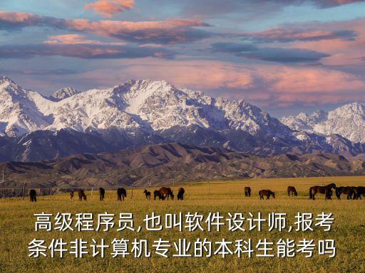 高級數(shù)據(jù)技術員,大數(shù)據(jù)技術員是做什么的
