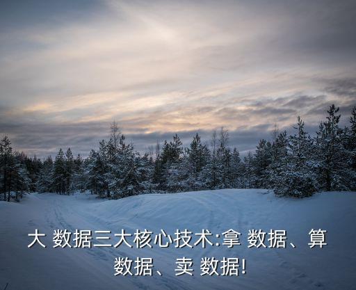 大 數(shù)據(jù)三大核心技術(shù):拿 數(shù)據(jù)、算 數(shù)據(jù)、賣 數(shù)據(jù)!