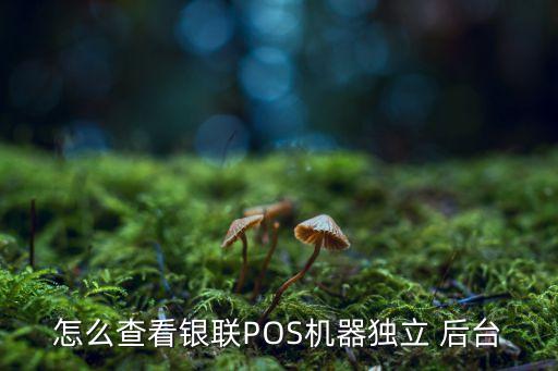 第三方支付 客戶 數(shù)據(jù) 銀行 后臺,銀行第三方支付數(shù)據(jù)怎么查