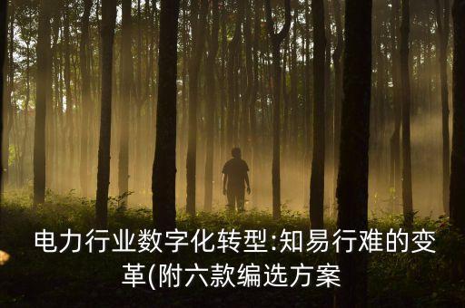  電力行業(yè)數(shù)字化轉(zhuǎn)型:知易行難的變革(附六款編選方案