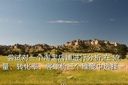 嘗試對(duì)一個(gè)淘寶店鋪進(jìn)行分析,在 流量、轉(zhuǎn)化率、客單價(jià)三個(gè)維度中選擇一...