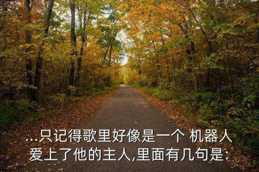 ...只記得歌里好像是一個(gè) 機(jī)器人愛上了他的主人,里面有幾句是: