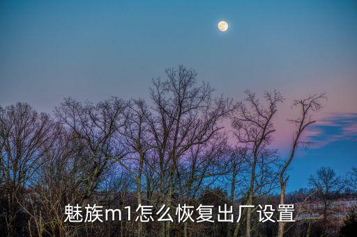 魅族手機(jī)清空所有數(shù)據(jù)