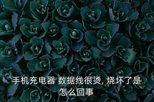 手機(jī)充電器 數(shù)據(jù)線很燙, 燒壞了是怎么回事