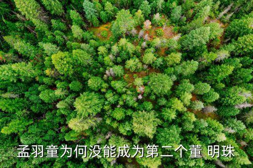 孟羽童為何沒能成為第二個(gè)董 明珠