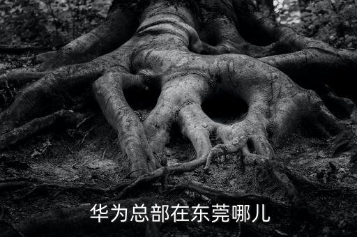  華為總部在東莞哪兒