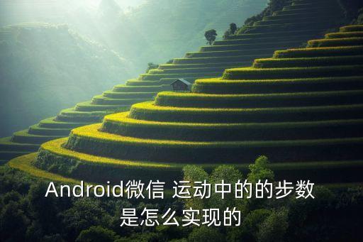 安卓系統(tǒng) 運(yùn)動數(shù)據(jù),安卓手機(jī)運(yùn)動數(shù)據(jù)權(quán)限在哪