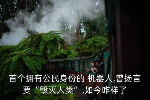 首個(gè)擁有公民身份的 機(jī)器人,曾揚(yáng)言要“毀滅人類”,如今咋樣了