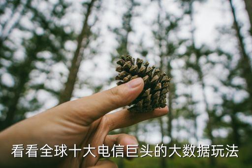 facebook歐州最大數(shù)據(jù)中心