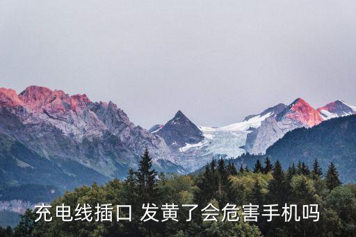 充電線插口 發(fā)黃了會(huì)危害手機(jī)嗎