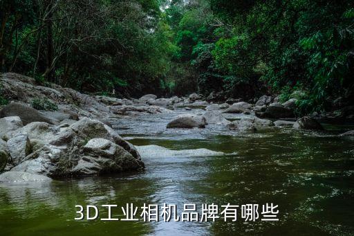 3D工業(yè)相機品牌有哪些