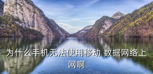 為什么手機(jī)無(wú)法使用移動(dòng) 數(shù)據(jù)網(wǎng)絡(luò)上網(wǎng)啊