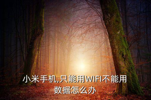  小米手機(jī),只能用WIFI不能用 數(shù)據(jù)怎么辦