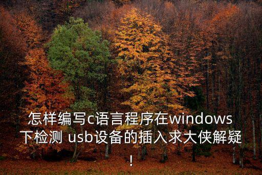 怎樣編寫c語言程序在windows下檢測 usb設備的插入求大俠解疑!
