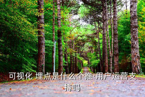 可視化 埋點是什么個推·用戶運營支持嗎