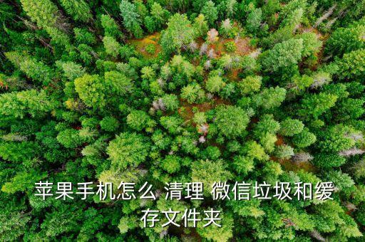 蘋果4微信數(shù)據(jù)清理,蘋果微信數(shù)據(jù)清理聊天記錄還在嗎