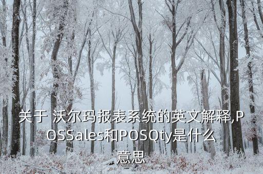 關于 沃爾瑪報表系統(tǒng)的英文解釋,POSSales和POSQty是什么意思