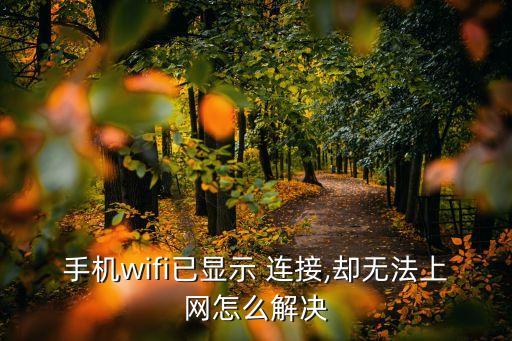 移動數(shù)據(jù)連上卻沒網(wǎng)絡(luò)連接不上怎么辦
