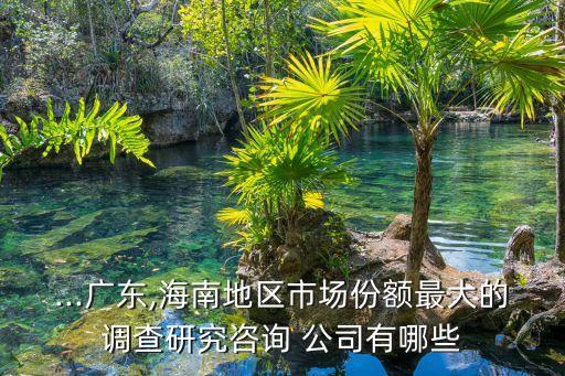 ...廣東,海南地區(qū)市場(chǎng)份額最大的調(diào)查研究咨詢 公司有哪些