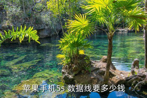 蘋果5數(shù)據(jù)線多少錢一根,蘋果數(shù)據(jù)線多少錢一根實(shí)體店