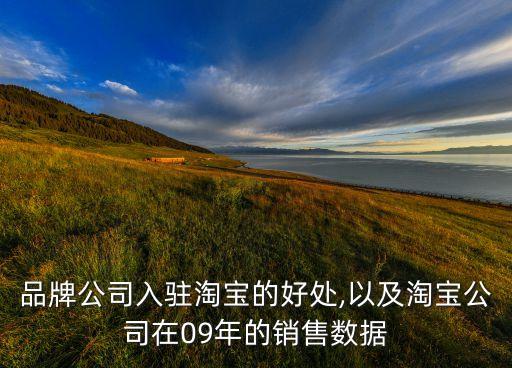 品牌公司入駐淘寶的好處,以及淘寶公司在09年的銷(xiāo)售數(shù)據(jù)