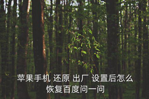 蘋果手機(jī) 還原 出廠 設(shè)置后怎么 恢復(fù)百度問一問