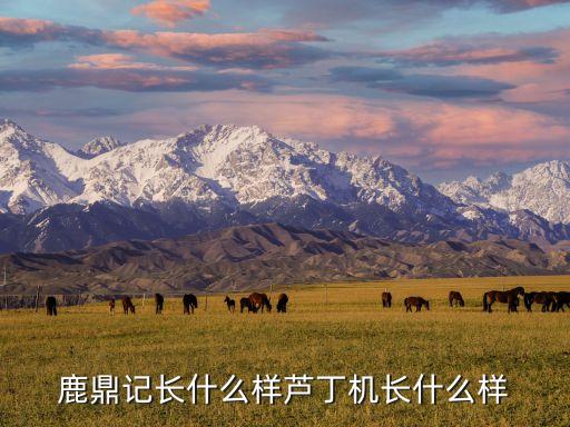 武俠機(jī)器人