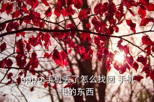  oppo 手機(jī)丟了怎么找回 手機(jī)里的東西