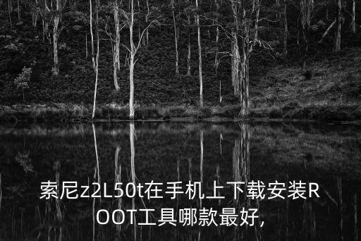 索尼z2L50t在手機(jī)上下載安裝ROOT工具哪款最好,