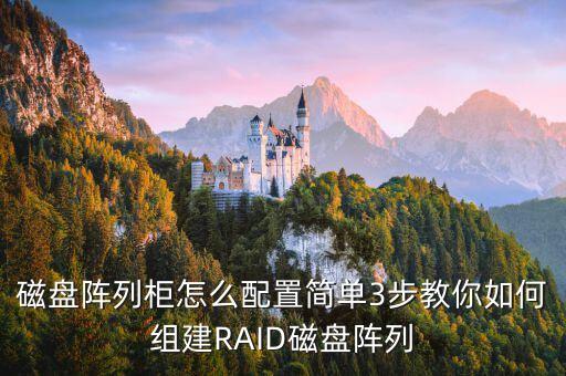 磁盤陣列柜怎么配置簡(jiǎn)單3步教你如何組建RAID磁盤陣列