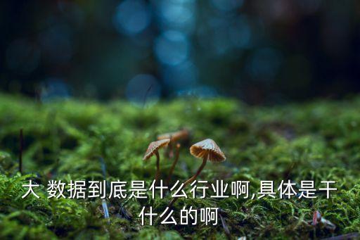 大 數(shù)據(jù)到底是什么行業(yè)啊,具體是干什么的啊