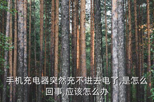 數(shù)據(jù)線充不進電怎么辦,充電線失靈的補救方法