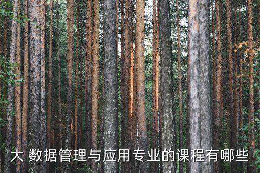 大 數(shù)據(jù)管理與應用專業(yè)的課程有哪些