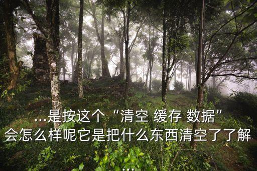 ...是按這個(gè)“清空 緩存 數(shù)據(jù)”會(huì)怎么樣呢它是把什么東西清空了了解...