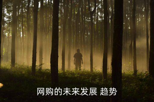 網(wǎng)購(gòu)的未來(lái)發(fā)展 趨勢(shì)