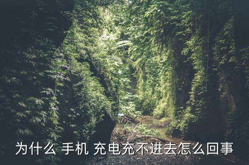 手機(jī)數(shù)據(jù)線無法充電