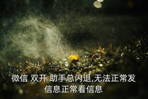 微信 雙開(kāi) 助手總閃退,無(wú)法正常發(fā)信息正?？葱畔? class=