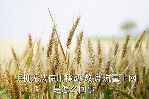 為什么手機(jī)數(shù)據(jù)流量用不了怎么辦,手機(jī)數(shù)據(jù)關(guān)閉,為什么會產(chǎn)生流量