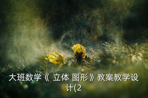 大班數(shù)學(xué)《 立體 圖形》教案教學(xué)設(shè)計(2