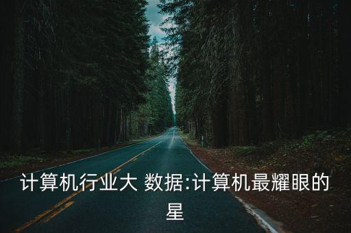 計(jì)算機(jī)行業(yè)大 數(shù)據(jù):計(jì)算機(jī)最耀眼的星