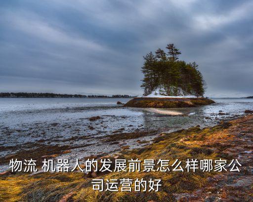 物流 機(jī)器人的發(fā)展前景怎么樣哪家公司運(yùn)營的好