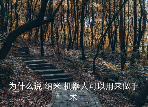為什么說(shuō) 納米 機(jī)器人可以用來(lái)做手術(shù)