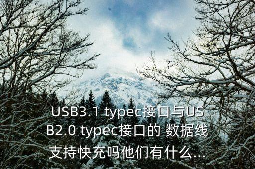 type-c數(shù)據(jù)線能充電