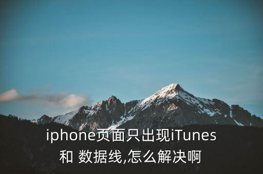 iphone頁面只出現(xiàn)iTunes和 數(shù)據(jù)線,怎么解決啊