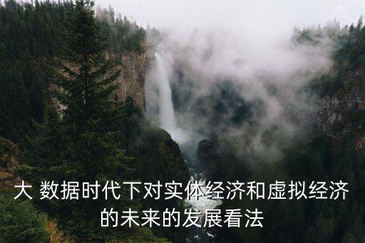大 數(shù)據(jù)時代下對實體經(jīng)濟和虛擬經(jīng)濟的未來的發(fā)展看法
