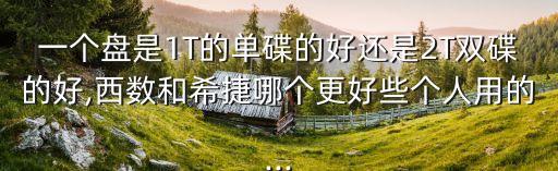 一個(gè)盤是1T的單碟的好還是2T雙碟的好,西數(shù)和希捷哪個(gè)更好些個(gè)人用的...