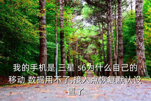 我的手機是 三星 s6為什么自己的移動 數(shù)據(jù)用不了,接入點恢復默認設置了