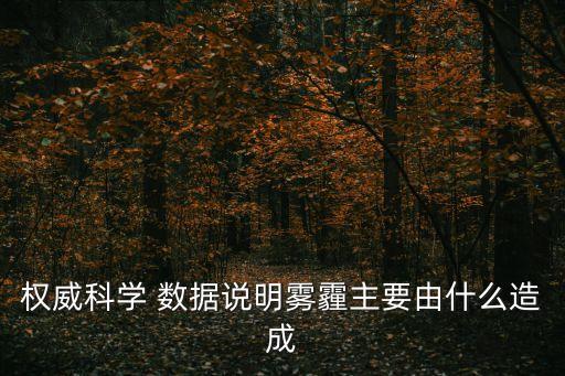 權威科學 數(shù)據(jù)說明霧霾主要由什么造成