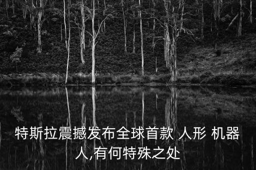 人形機(jī)器人的關(guān)鍵技術(shù)